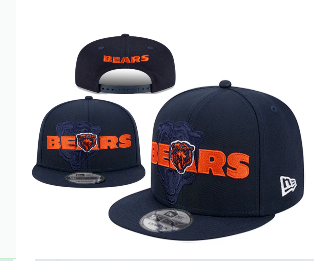 NFL Snapbacks(2)-0491