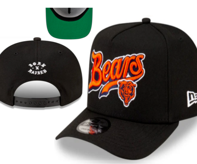 NFL Snapbacks(2)-0494