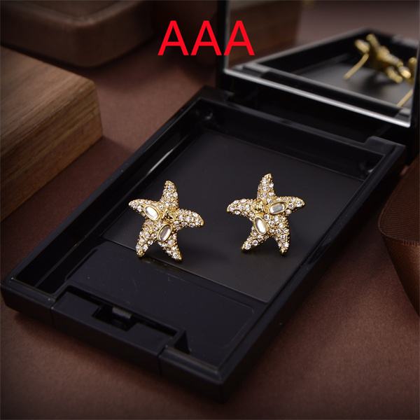 Versace Earrings-030