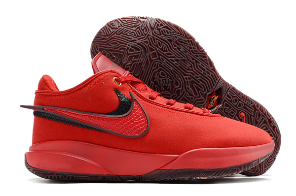 Lebron James 20-M-0013