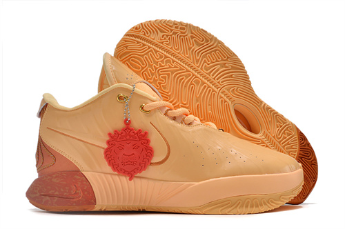 Lebron James 21-W-0010