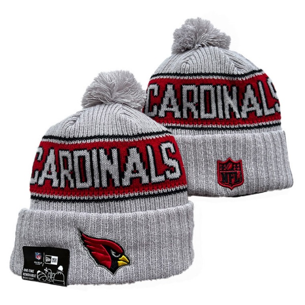 NFL Beanies(1)-0178