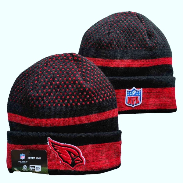 NFL Beanies(1)-0026