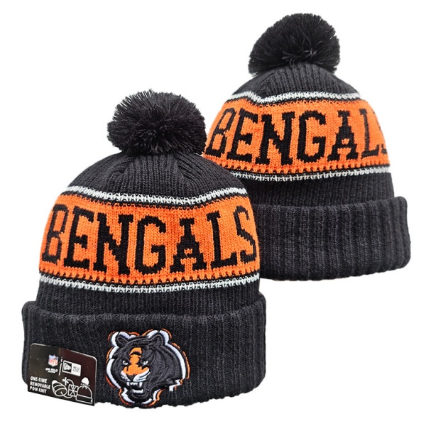 NFL Beanies(1)-0284