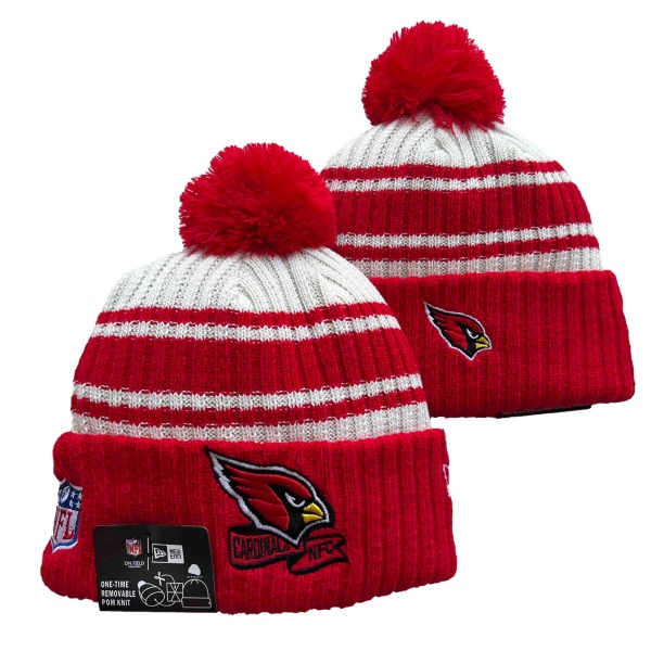 NFL Beanies(1)-0041