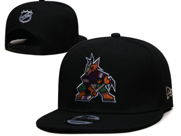 NHL Snapbacks-0081