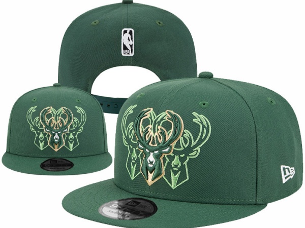 NBA Snapbacks(1)-0016