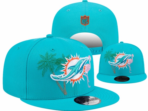 NFL Snapbacks(1)-0116