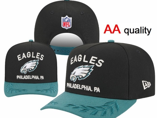 NFL Snapbacks(1)-0137