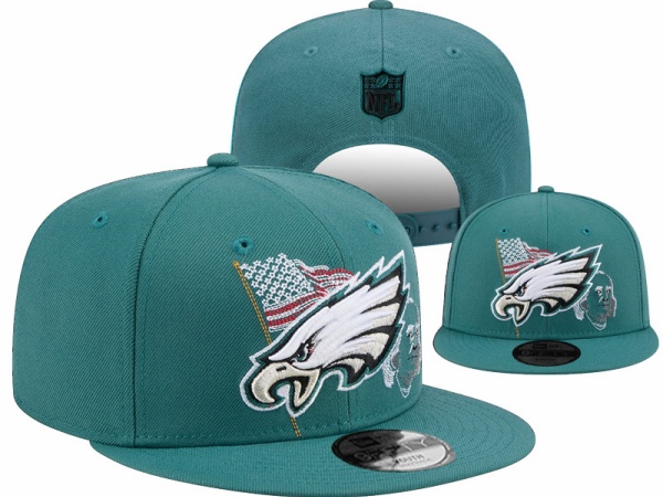 NFL Snapbacks(1)-0265