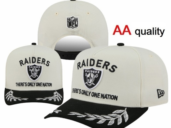 NFL Snapbacks(1)-0041