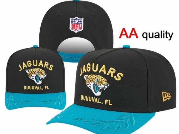 NFL Snapbacks(1)-0044