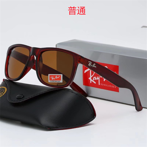 Ray.Ban-Sunglass-0208