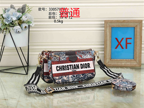 Dior small bag-0021