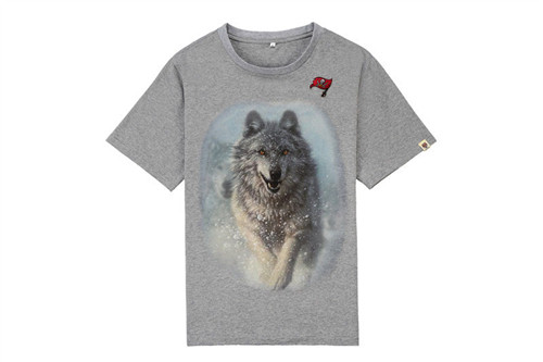 NFL T-shirt-M(10)-283