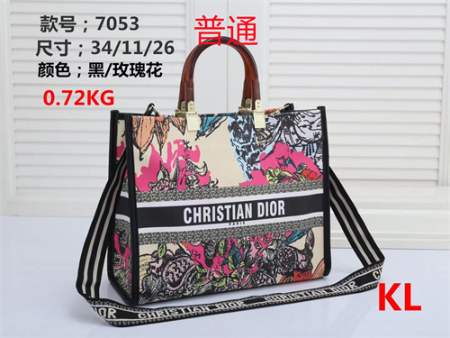 Dior bag-0021