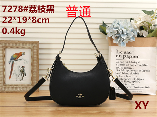 Coach small bag-0008