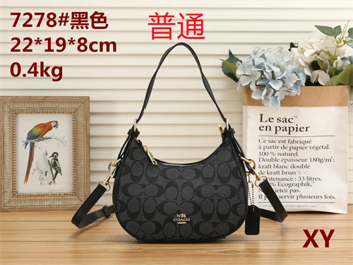 Coach small bag-0010