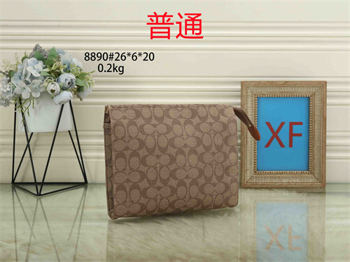 Coach small bag-0019