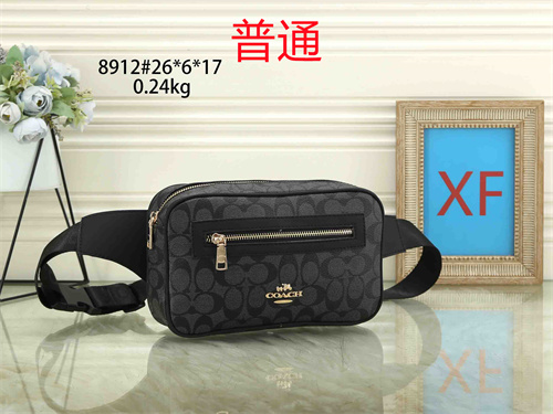 Coach small bag-0022