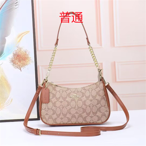 Coach small bag-0030