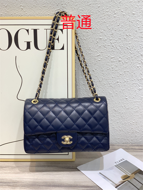 Chanel bag-0010