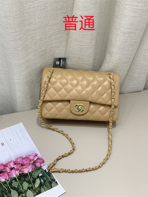 Chanel bag-0020