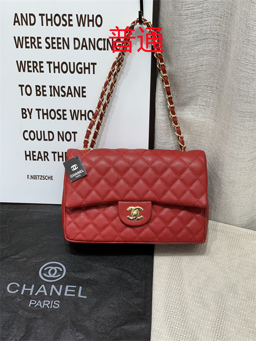 Chanel bag-0028