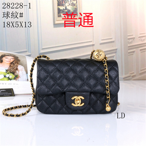 Chanel bag-0048
