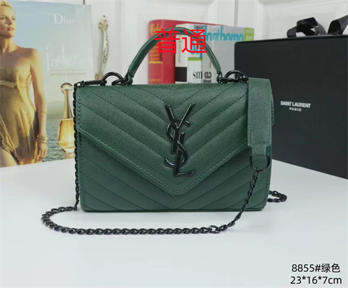 YSL small bag-0036