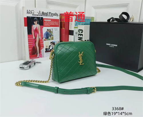 YSL small bag-0045