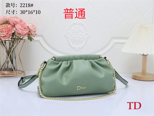 Dior bag-0042
