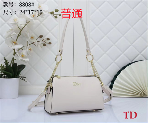 Dior small bag-0030