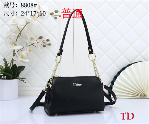 Dior small bag-0031