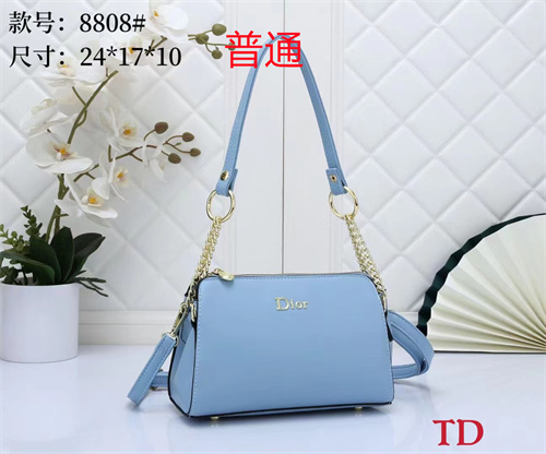 Dior small bag-0033