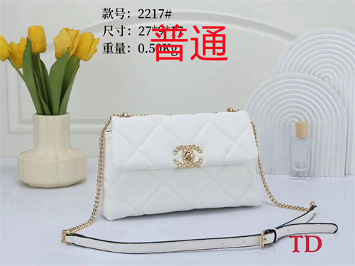 Chanel small bag-0011