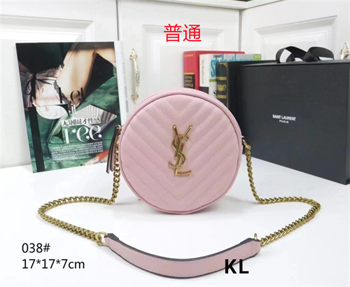 YSL small bag-0049