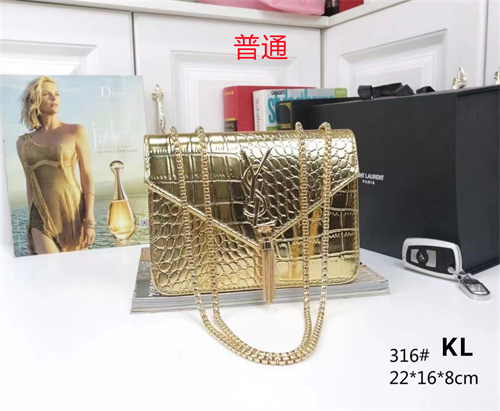 YSL small bag-0054