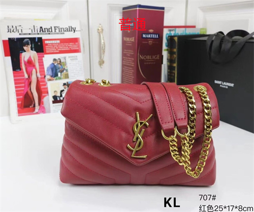 YSL small bag-0072
