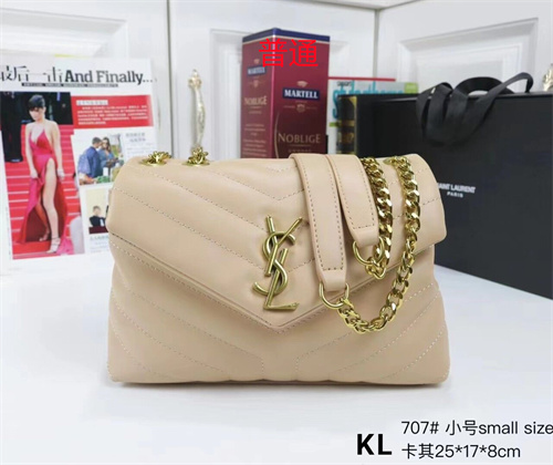 YSL small bag-0073
