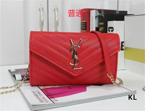 YSL small bag-0078