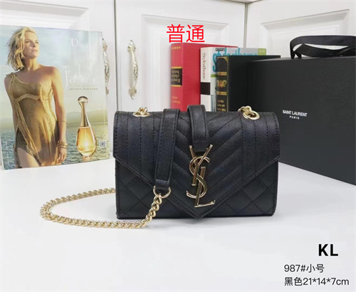 YSL small bag-0079
