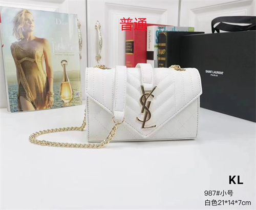 YSL small bag-0082