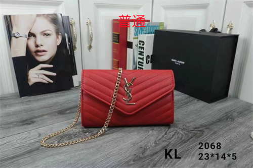 YSL small bag-0083