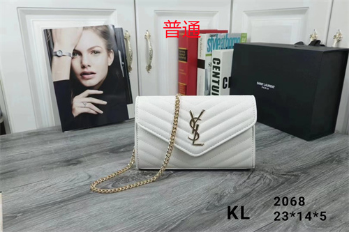YSL small bag-0084