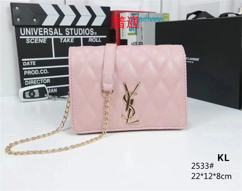 YSL small bag-0093