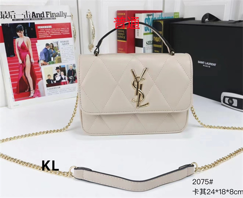 YSL small bag-0098
