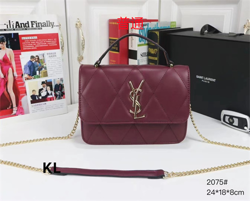 YSL small bag-0099
