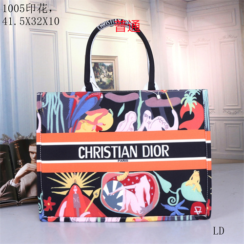 Dior bag-0047