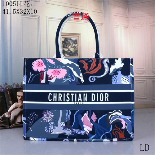 Dior bag-0049
